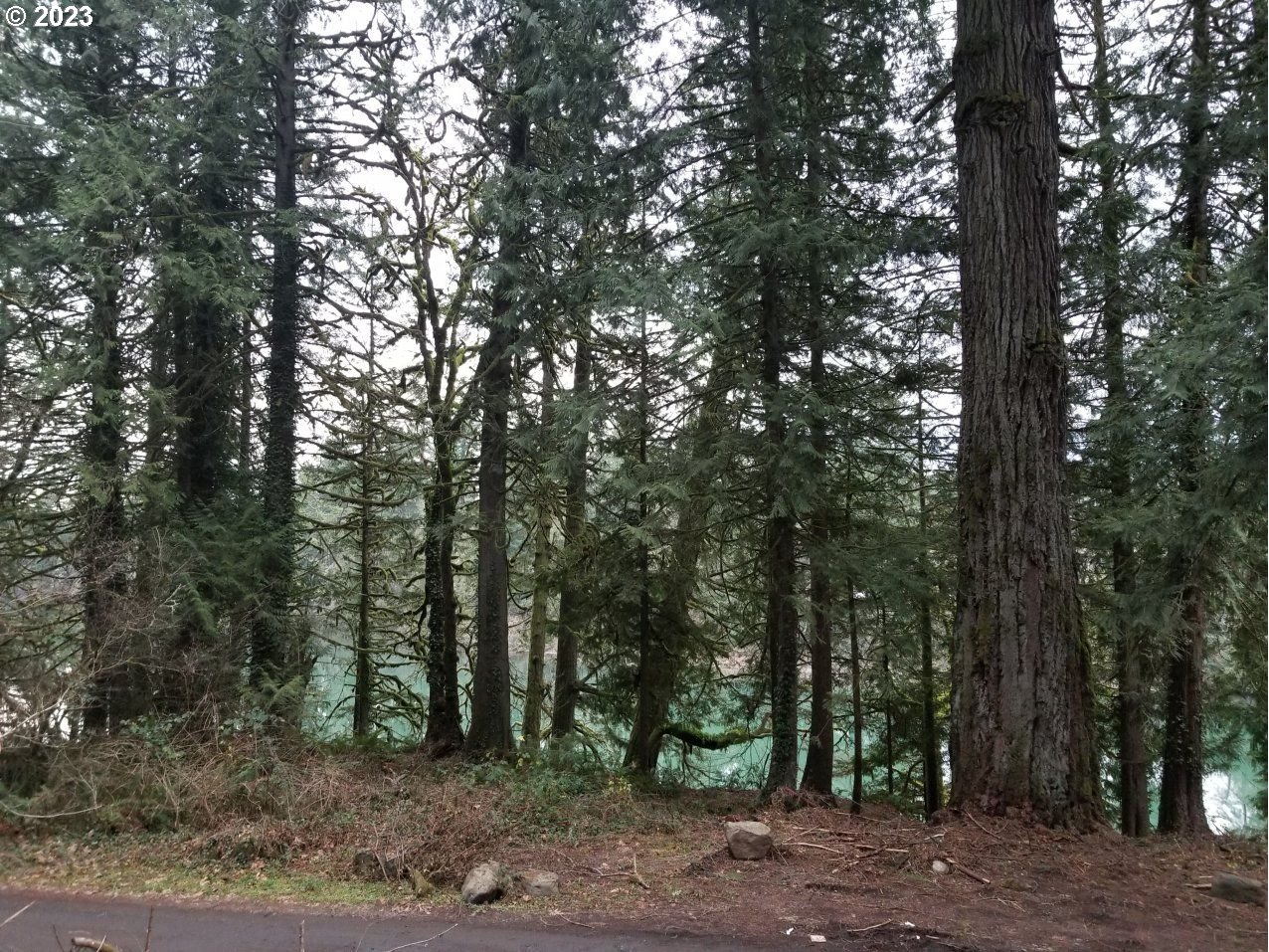 21970 S RIVER LAKE RD