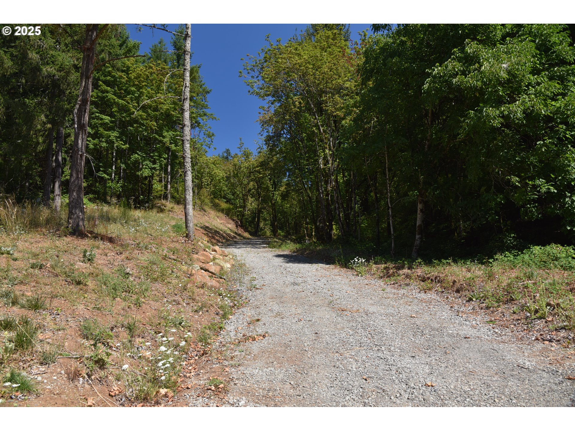00 Mountain RD