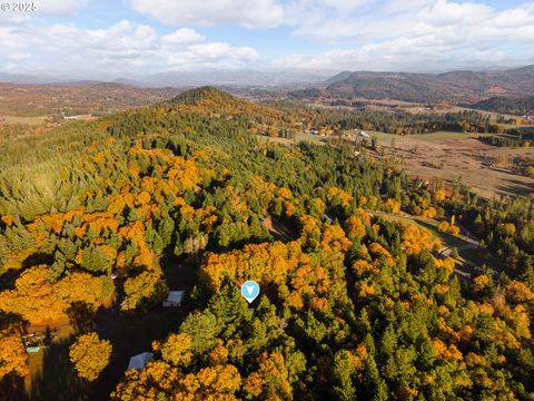 291 CALLAHAN RD Roseburg OR 97471