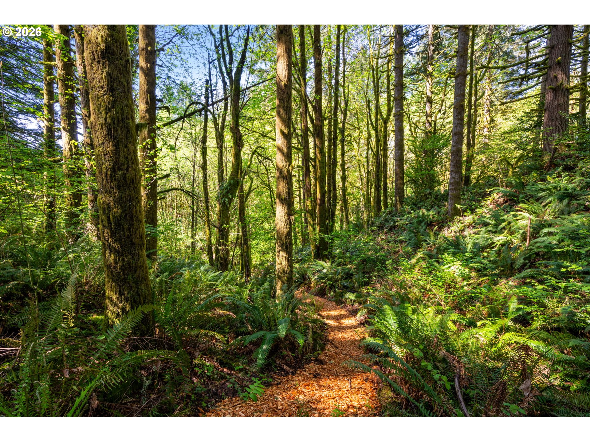 2838 LEWIS RIVER RD
