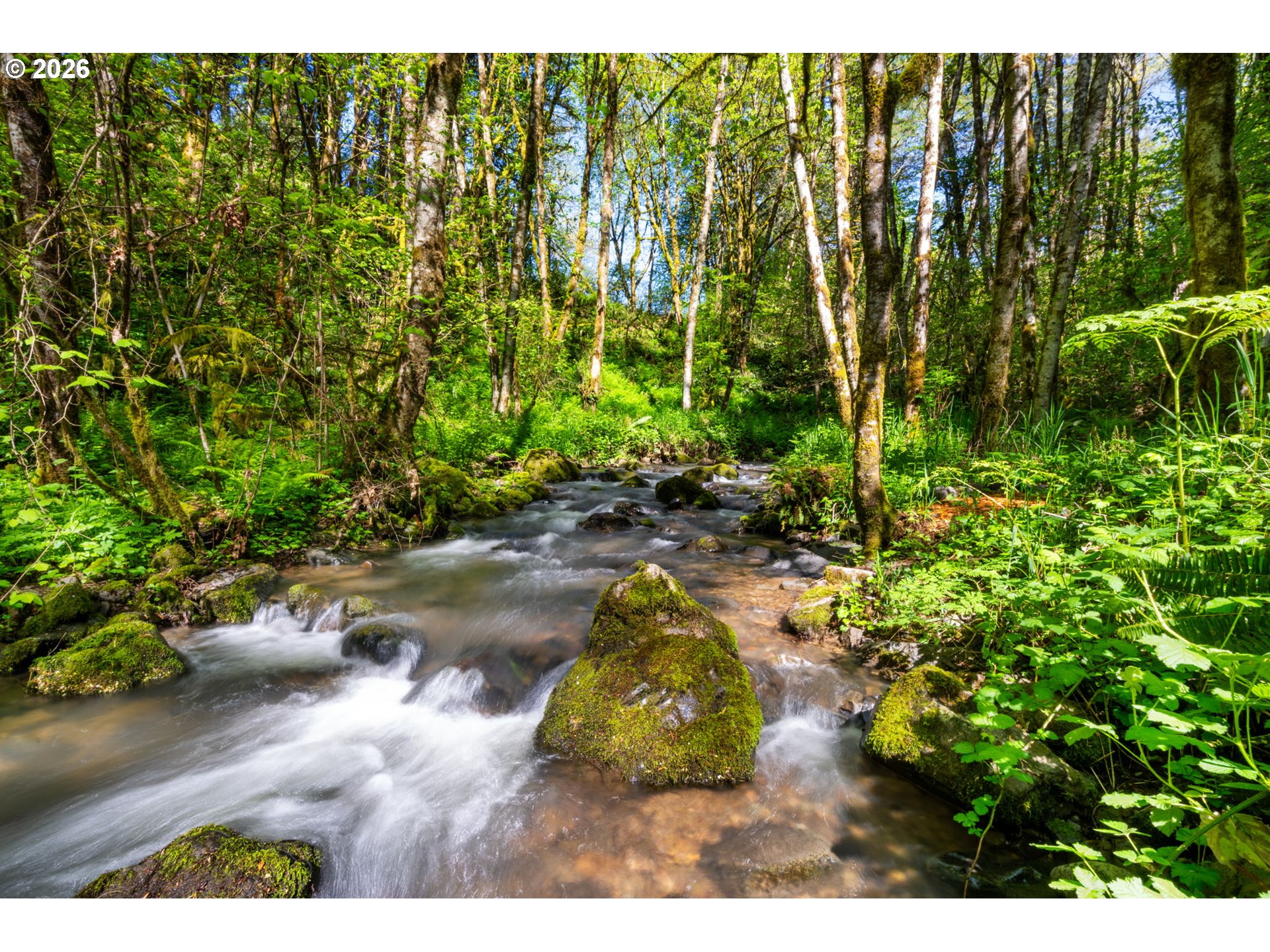 2838 LEWIS RIVER RD