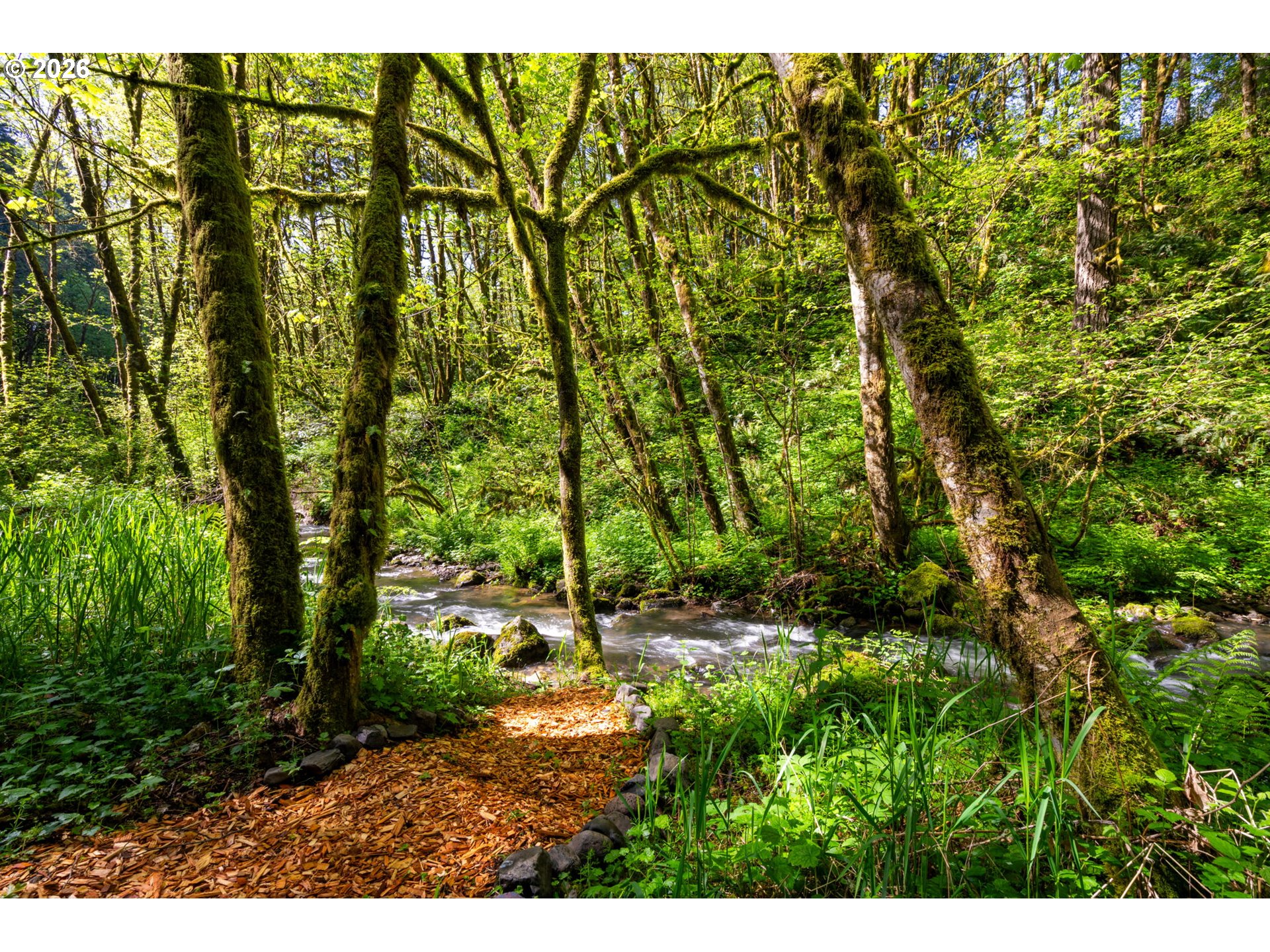 2838 LEWIS RIVER RD