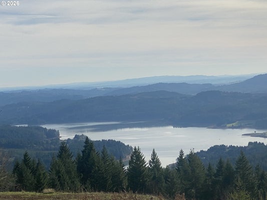 SW STEPIEN RD, GASTON, OR 97119 - Image 6cd98f43c494aee3bd6a0fad79c6fbd1/4100218394