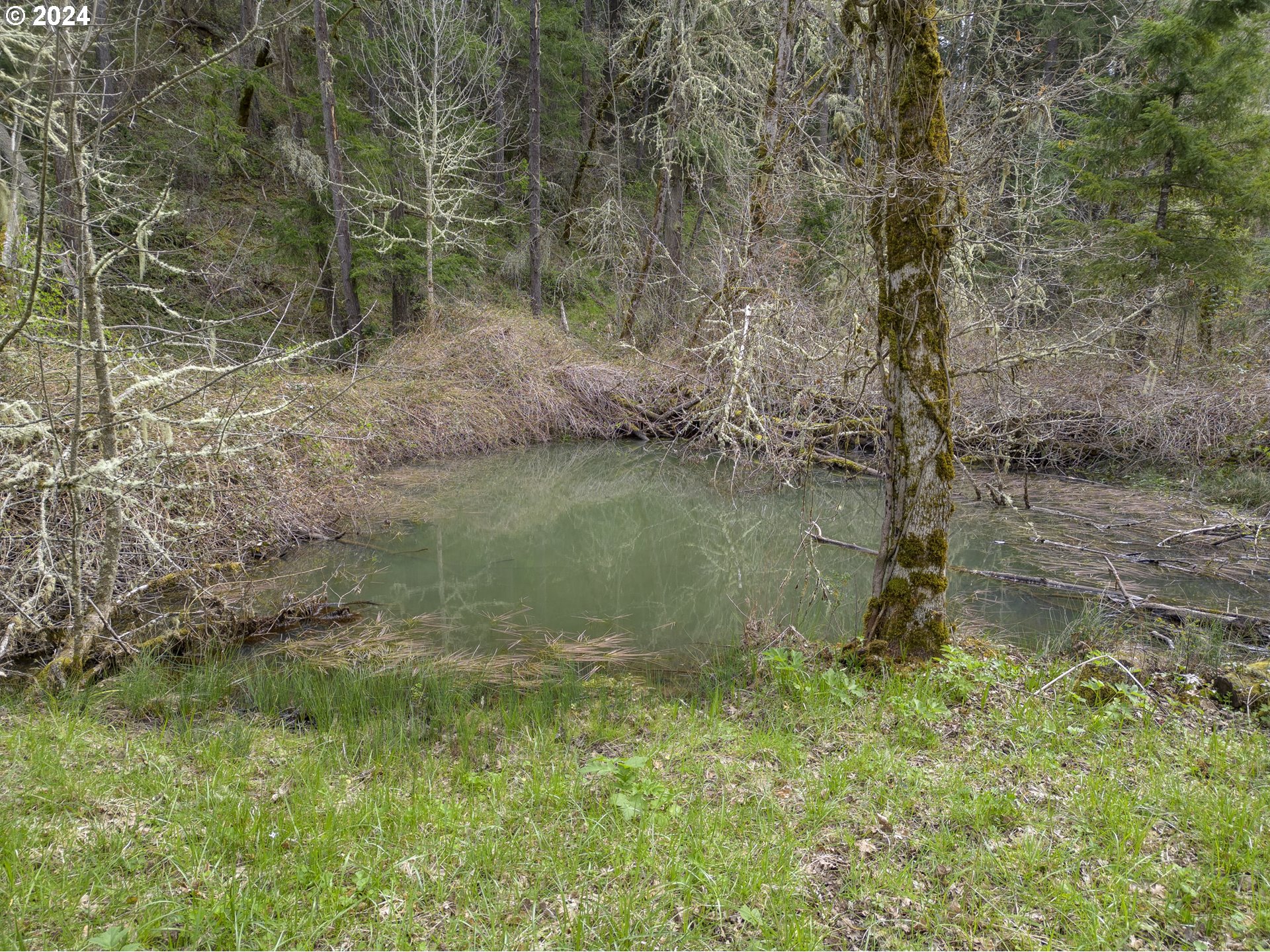 Eugene, Oregon 97405, United States, 5 Bedrooms Bedrooms, ,3 BathroomsBathrooms,Residential,Active,47809