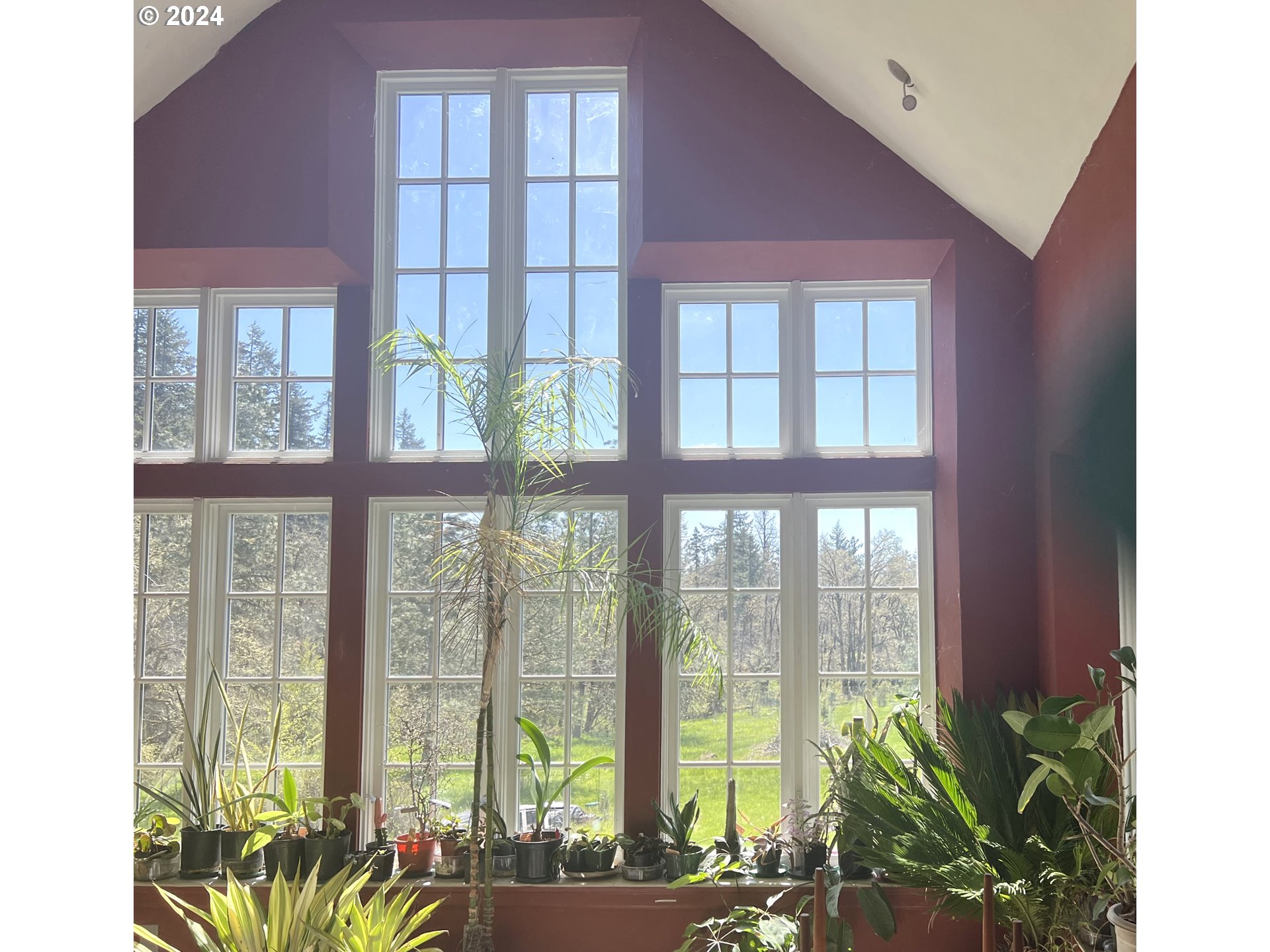 Eugene, Oregon 97405, United States, 5 Bedrooms Bedrooms, ,3 BathroomsBathrooms,Residential,Active,47809