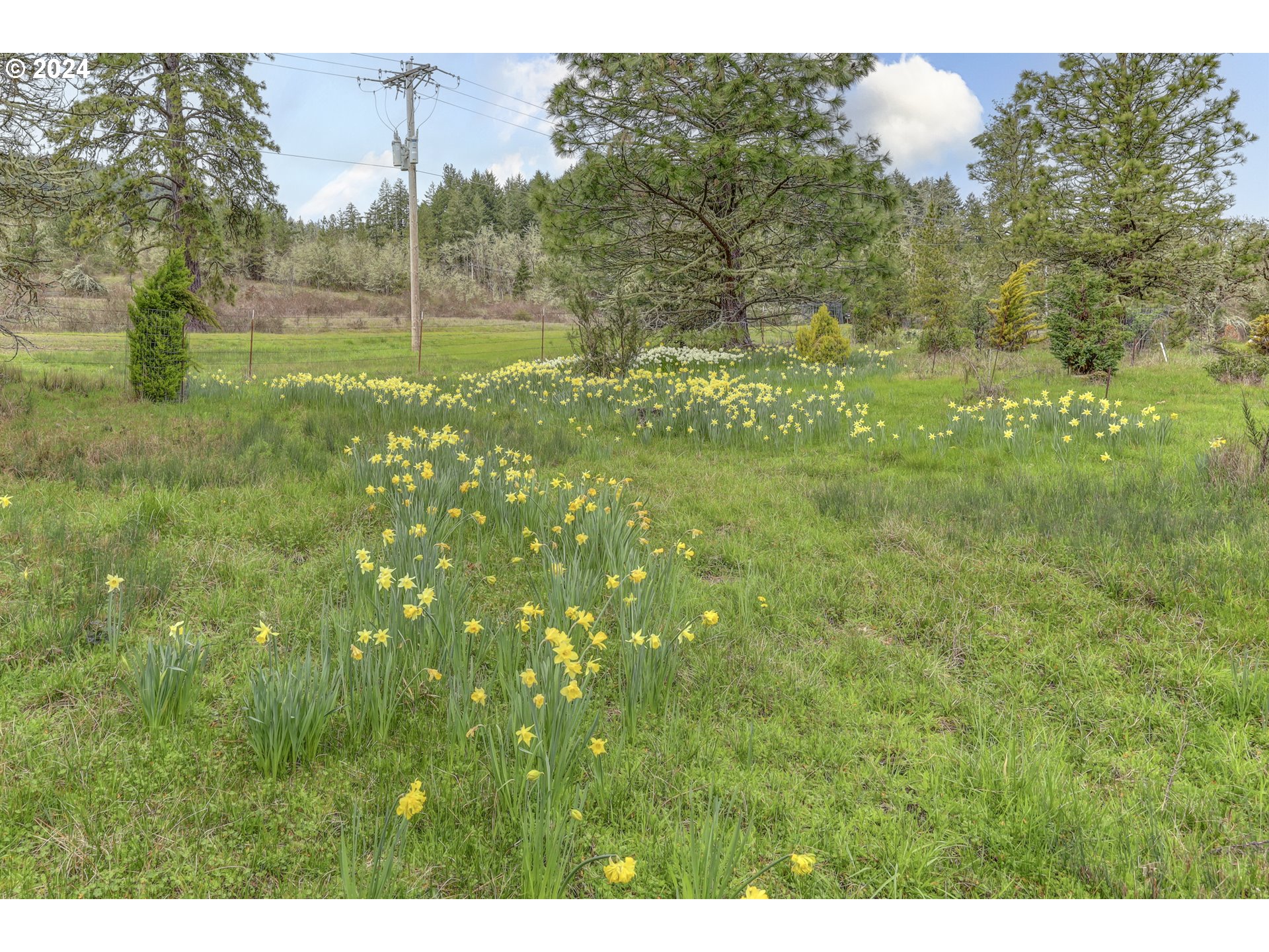 Eugene, Oregon 97405, United States, 5 Bedrooms Bedrooms, ,3 BathroomsBathrooms,Residential,Active,47809