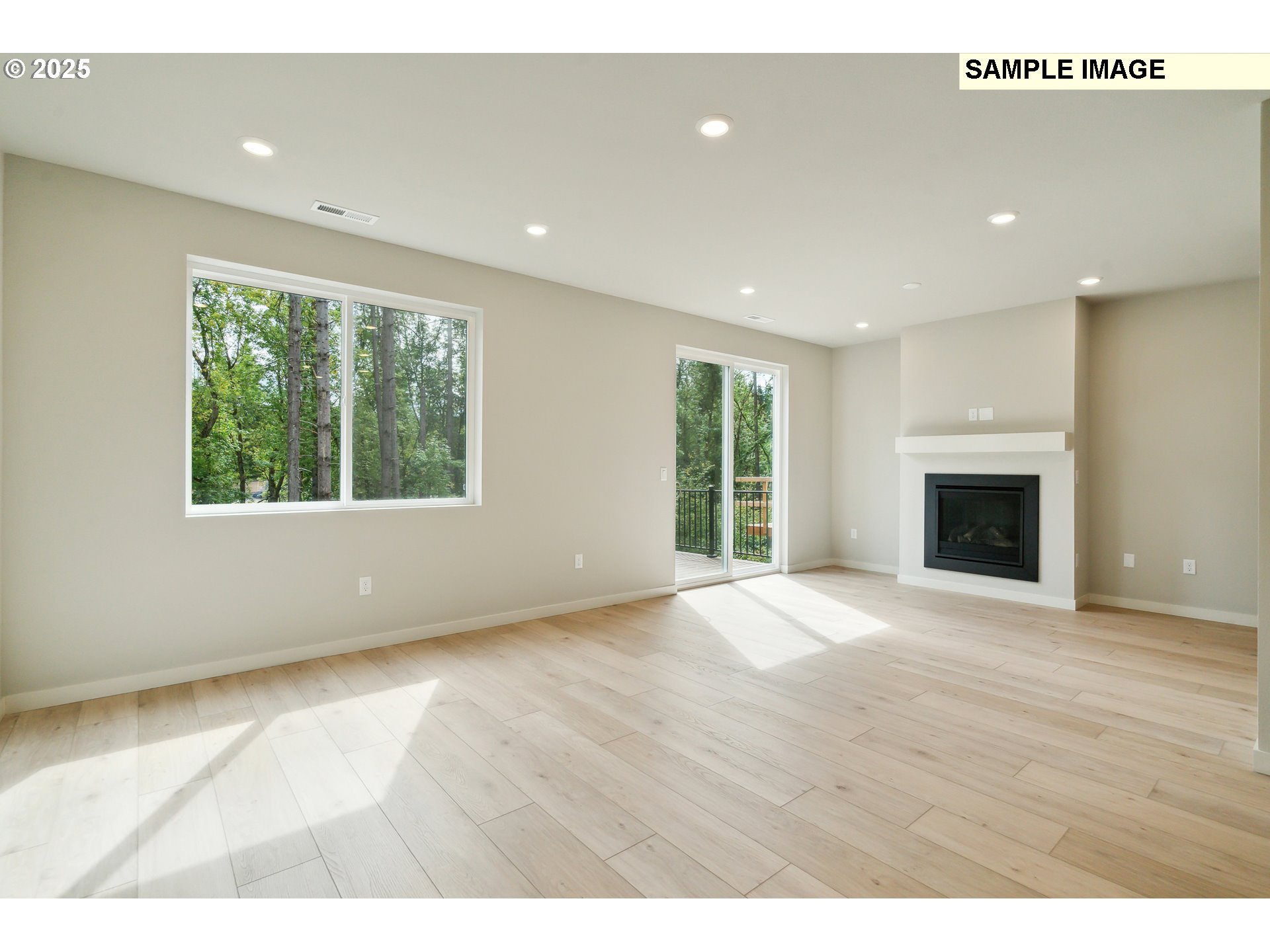 23881 SW Black Tortoise TER