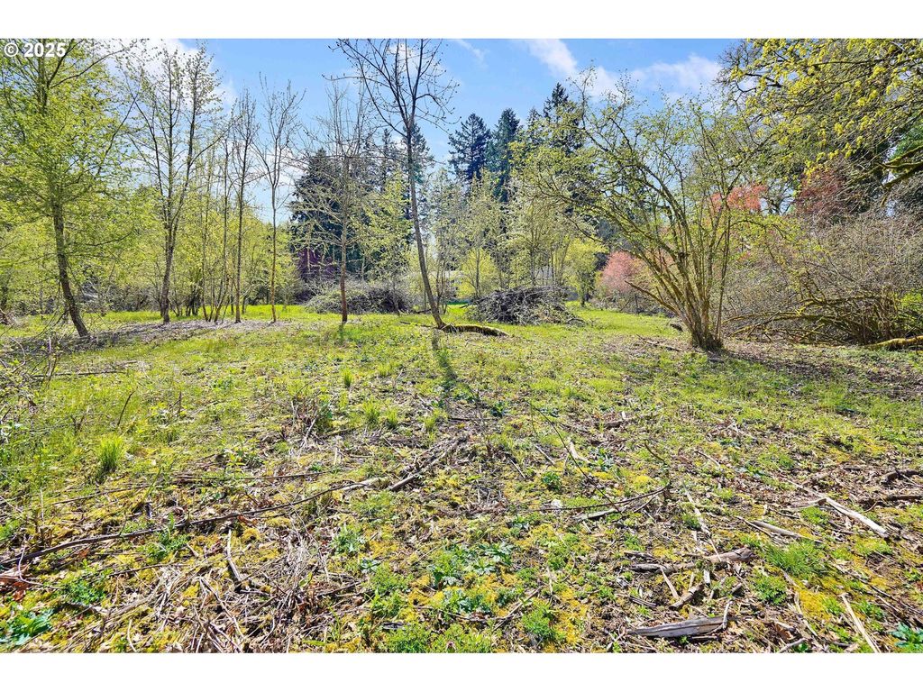listing image 38