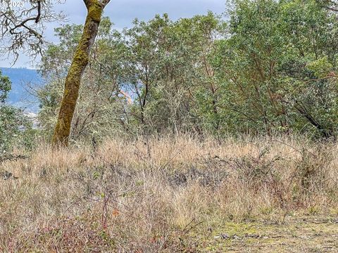 1291 SWEETBRIER AVE Roseburg OR 97471