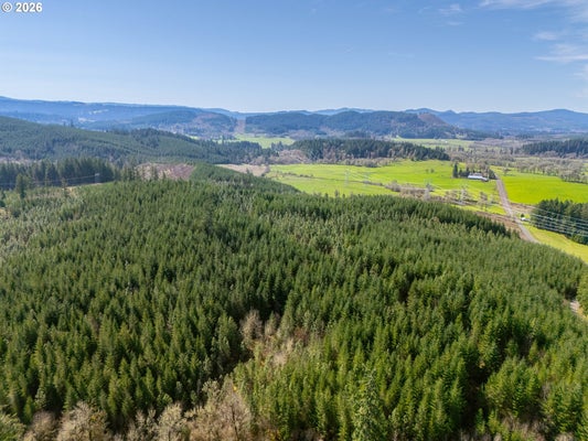 BELLINGER RD, LEBANON, OR 97355 - Image 6d648212375a076eebfc005c561ba5fa/681378428