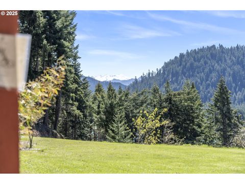 Tiny photo for 49867 Hills Creek Rd, Oakridge, OR 97463 (MLS # 658717628)
