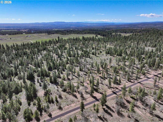 GOLDENDALE HWY, ROOSEVELT, WA 99356 - Image 6e3df43bc1d654837db581136b08084e/2237201760