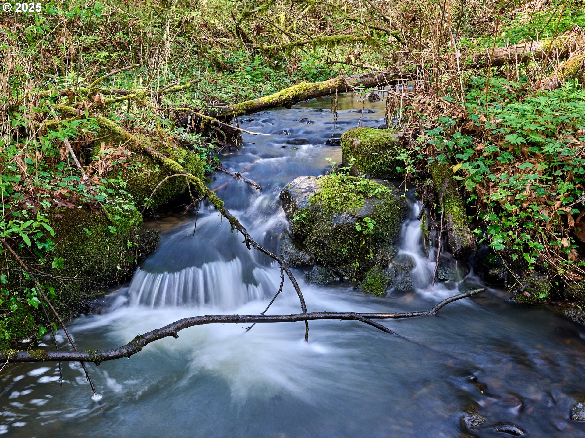 Oregon City, Oregon 97045, United States, 3 Bedrooms Bedrooms, ,4 BathroomsBathrooms,Residential,Active,97967