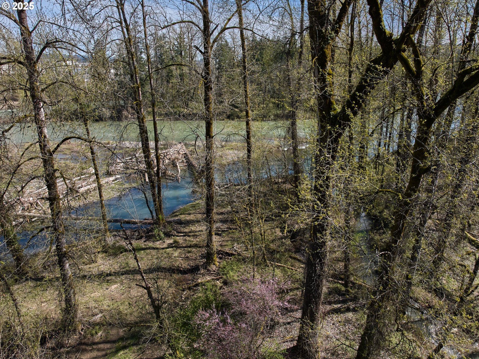 Oregon City, Oregon 97045, United States, 3 Bedrooms Bedrooms, ,4 BathroomsBathrooms,Residential,Active,97967