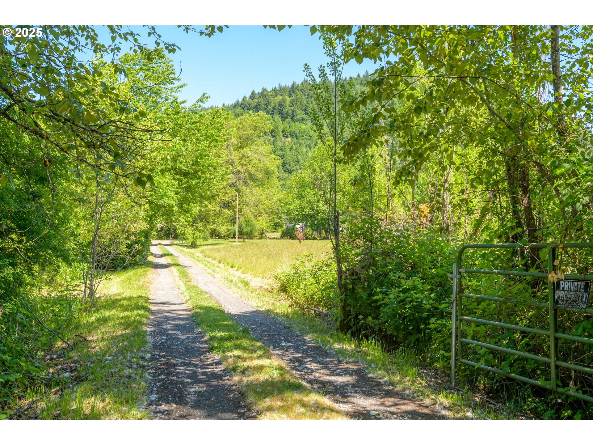 Cottage Grove, Oregon 97424, United States, 3 Bedrooms Bedrooms, ,3 BathroomsBathrooms,Residential,Active,15463