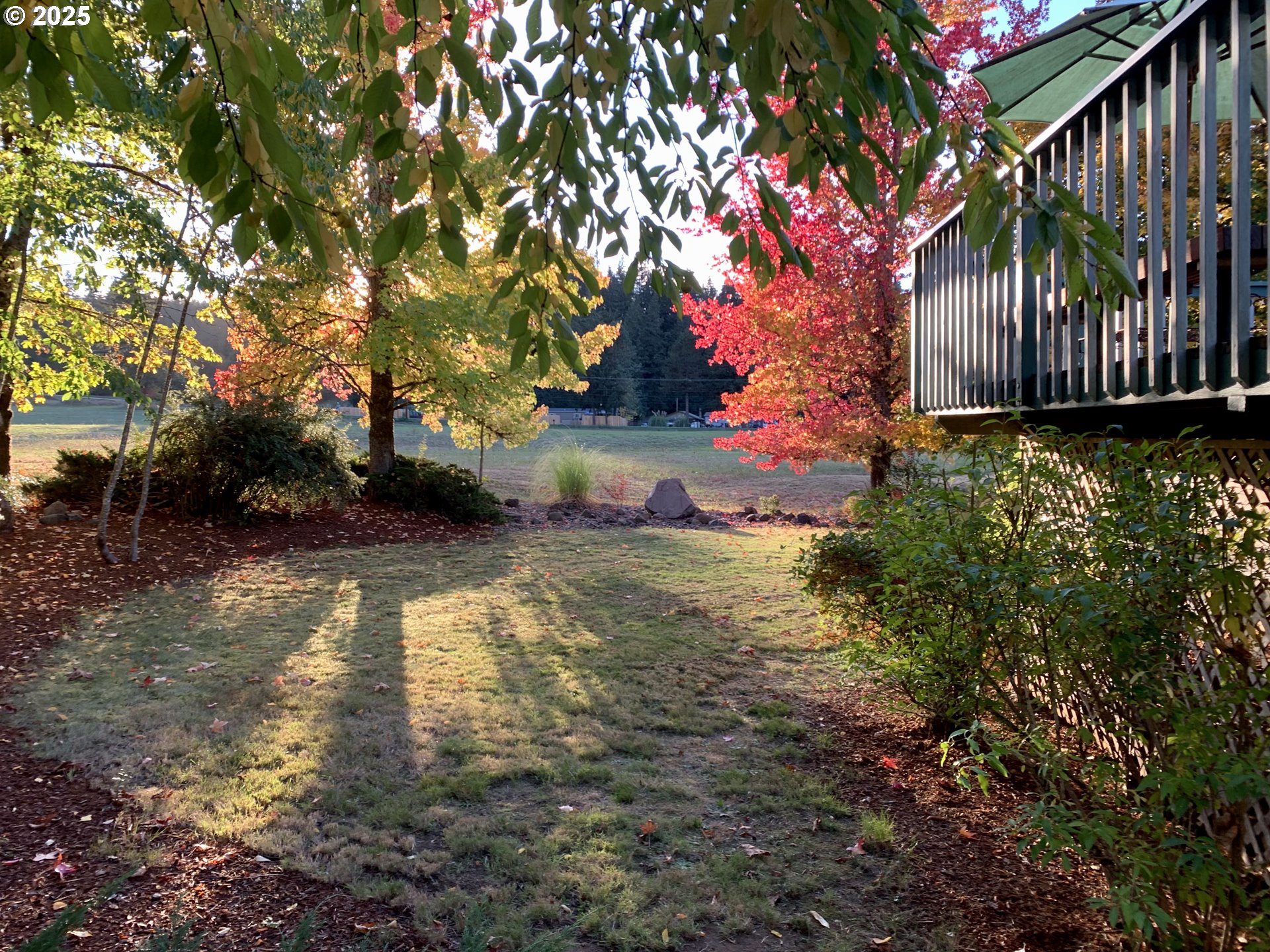 Cottage Grove, Oregon 97424, United States, 3 Bedrooms Bedrooms, ,3 BathroomsBathrooms,Residential,Active,15463