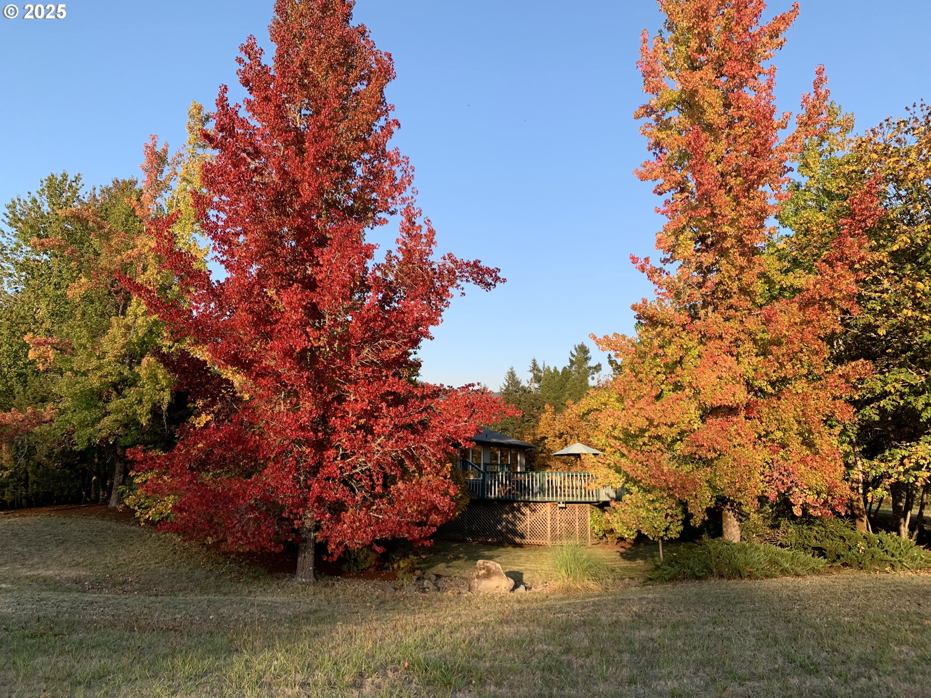 Cottage Grove, Oregon 97424, United States, 3 Bedrooms Bedrooms, ,3 BathroomsBathrooms,Residential,Active,15463