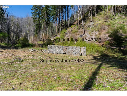 47983 MCKENZIE HWY, VIDA, OR 97488 - Image 6f2dfddfe9ce2d3c6823bb7cecdbcc42/1119996830