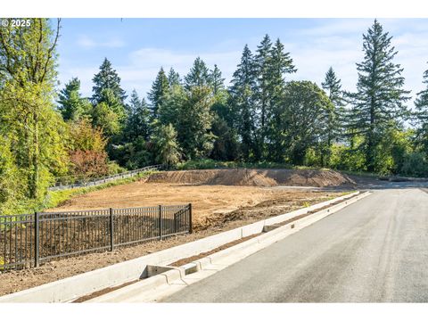 A home in Lake Oswego