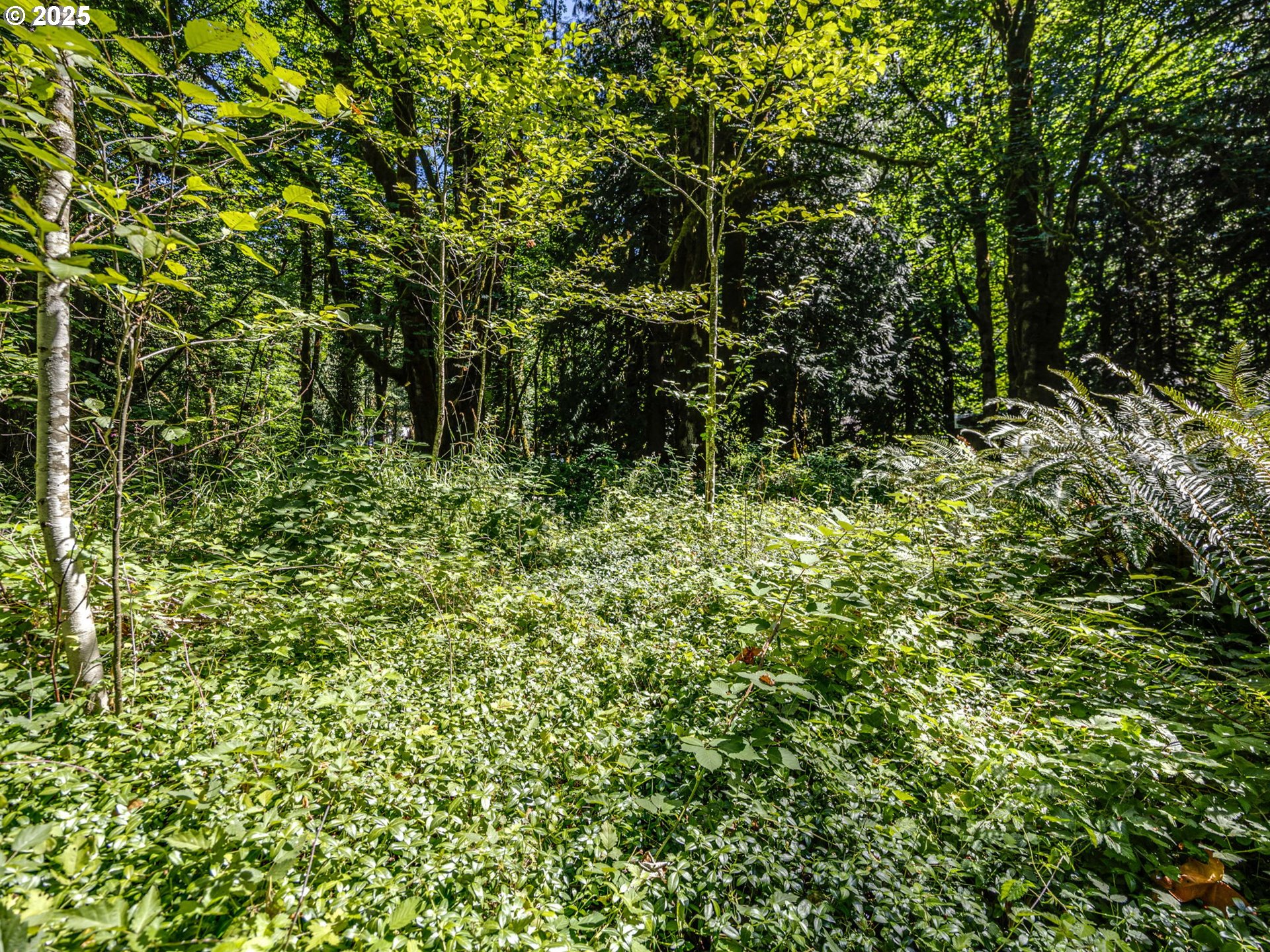 28003 E LOST LN
