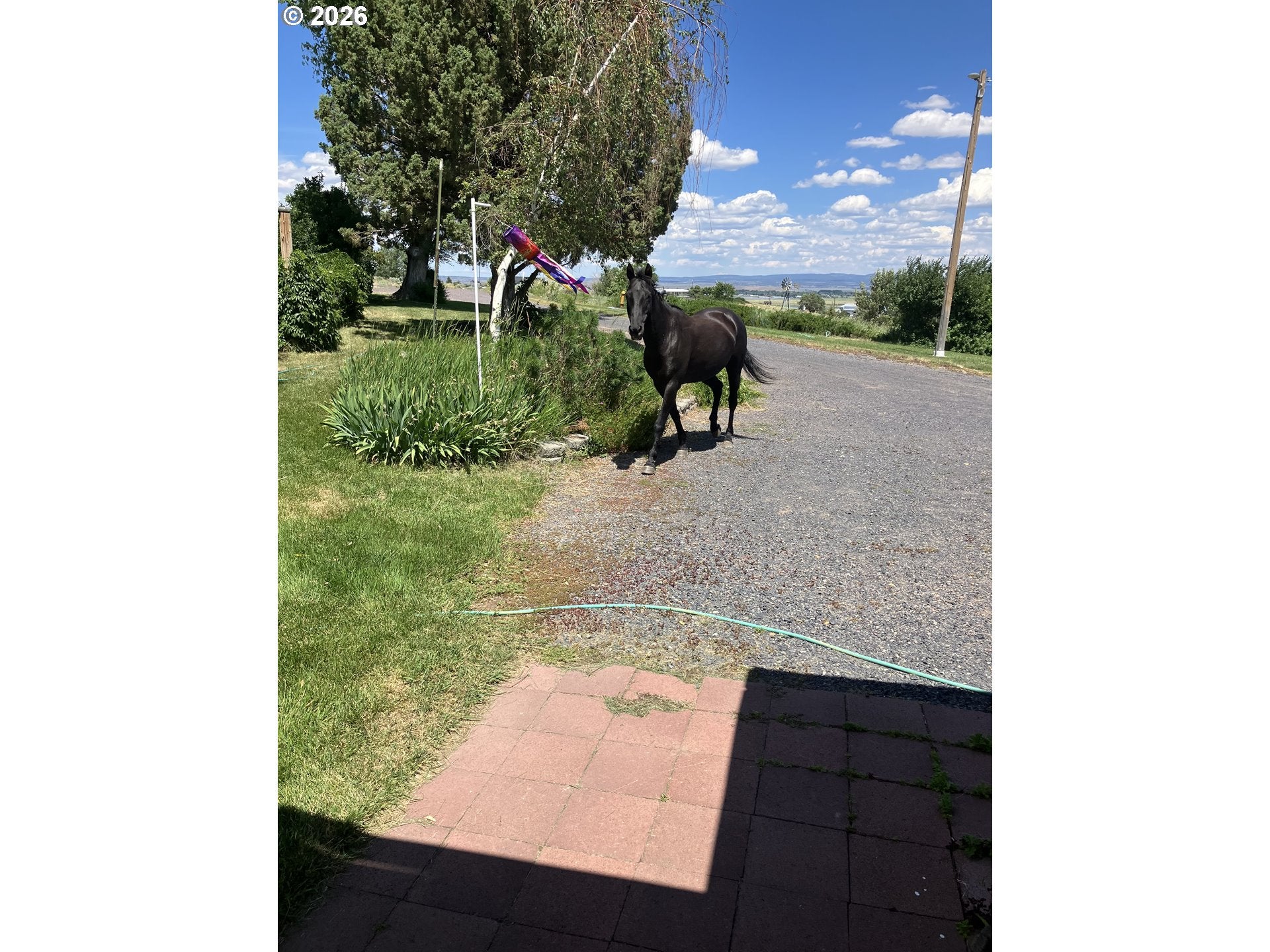 68883 LOOP DR
