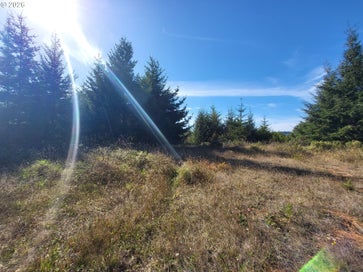 93875 HOLLOW STUMP LN North Bend OR 97459