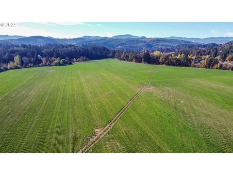 9375 STEEL BRIDGE RD Sheridan OR 97378