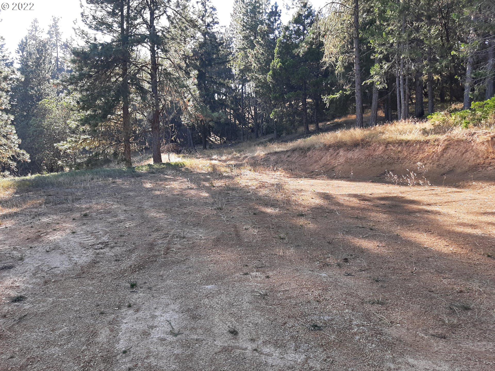 Roseburg, Oregon 97471, United States, ,Land,Pending,52322