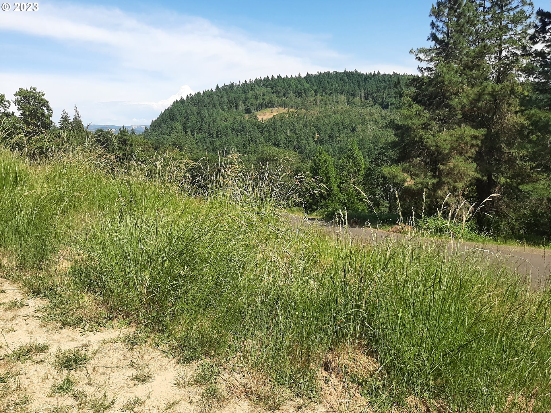 Roseburg, Oregon 97471, United States, ,Land,Pending,52322