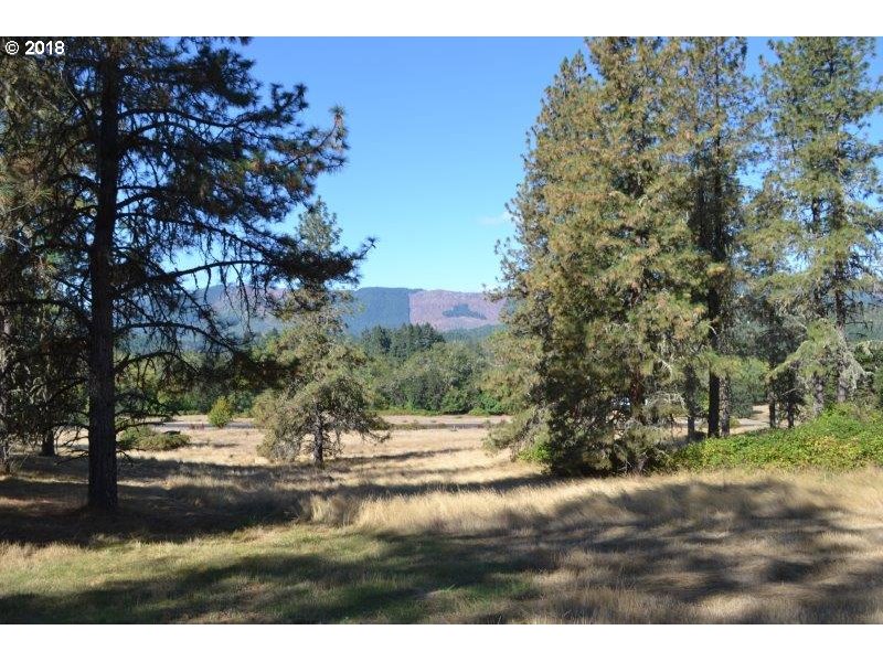 Roseburg, Oregon 97471, United States, ,Land,Pending,52322