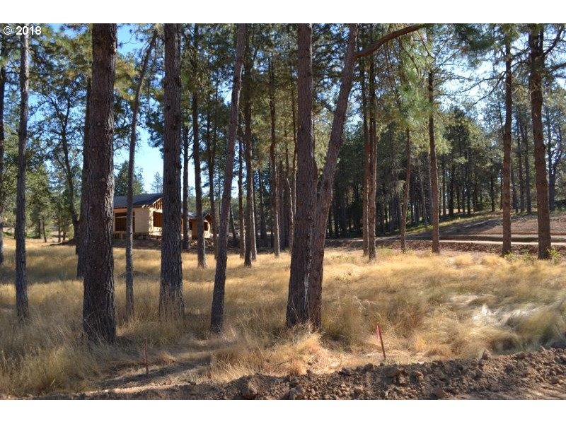 Roseburg, Oregon 97471, United States, ,Land,Pending,52322