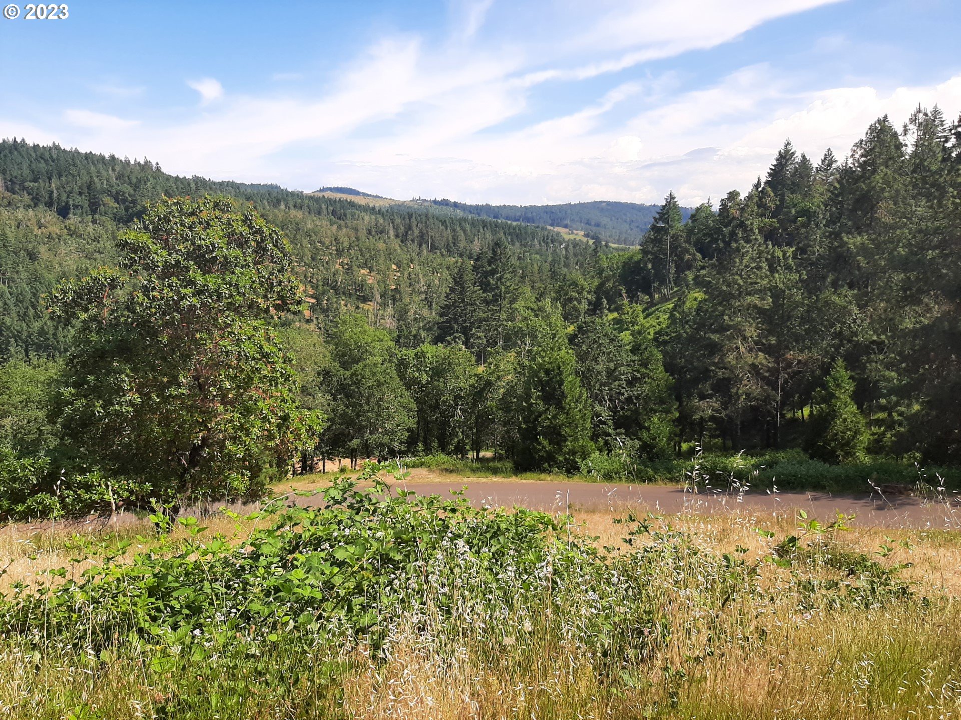 Roseburg, Oregon 97471, United States, ,Land,Pending,52322