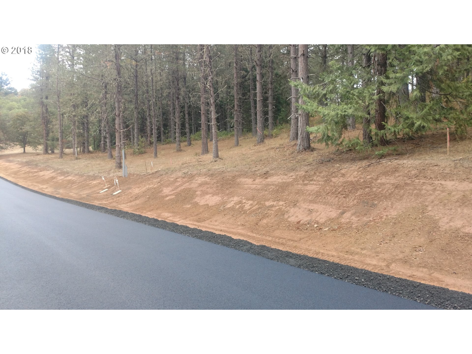 Roseburg, Oregon 97471, United States, ,Land,Pending,52322