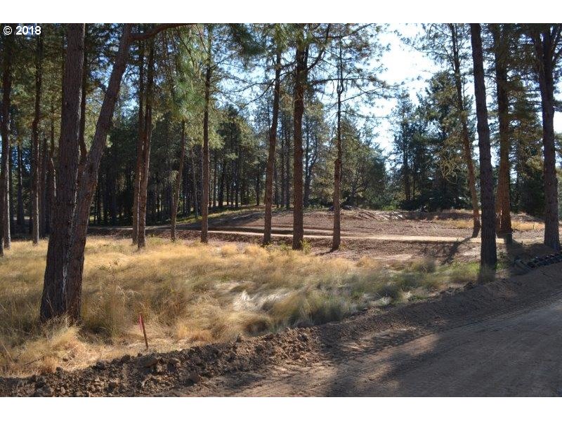 Roseburg, Oregon 97471, United States, ,Land,Pending,52322