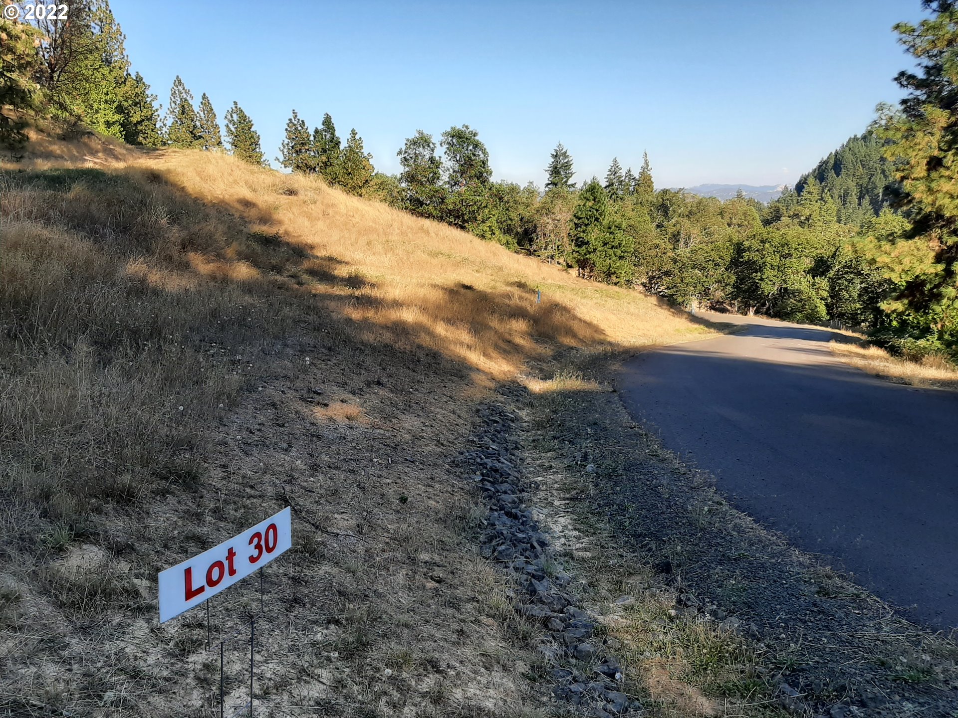 Roseburg, Oregon 97471, United States, ,Land,Pending,52322