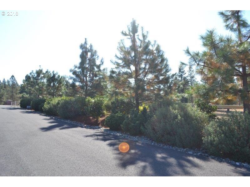 Roseburg, Oregon 97471, United States, ,Land,Pending,52322