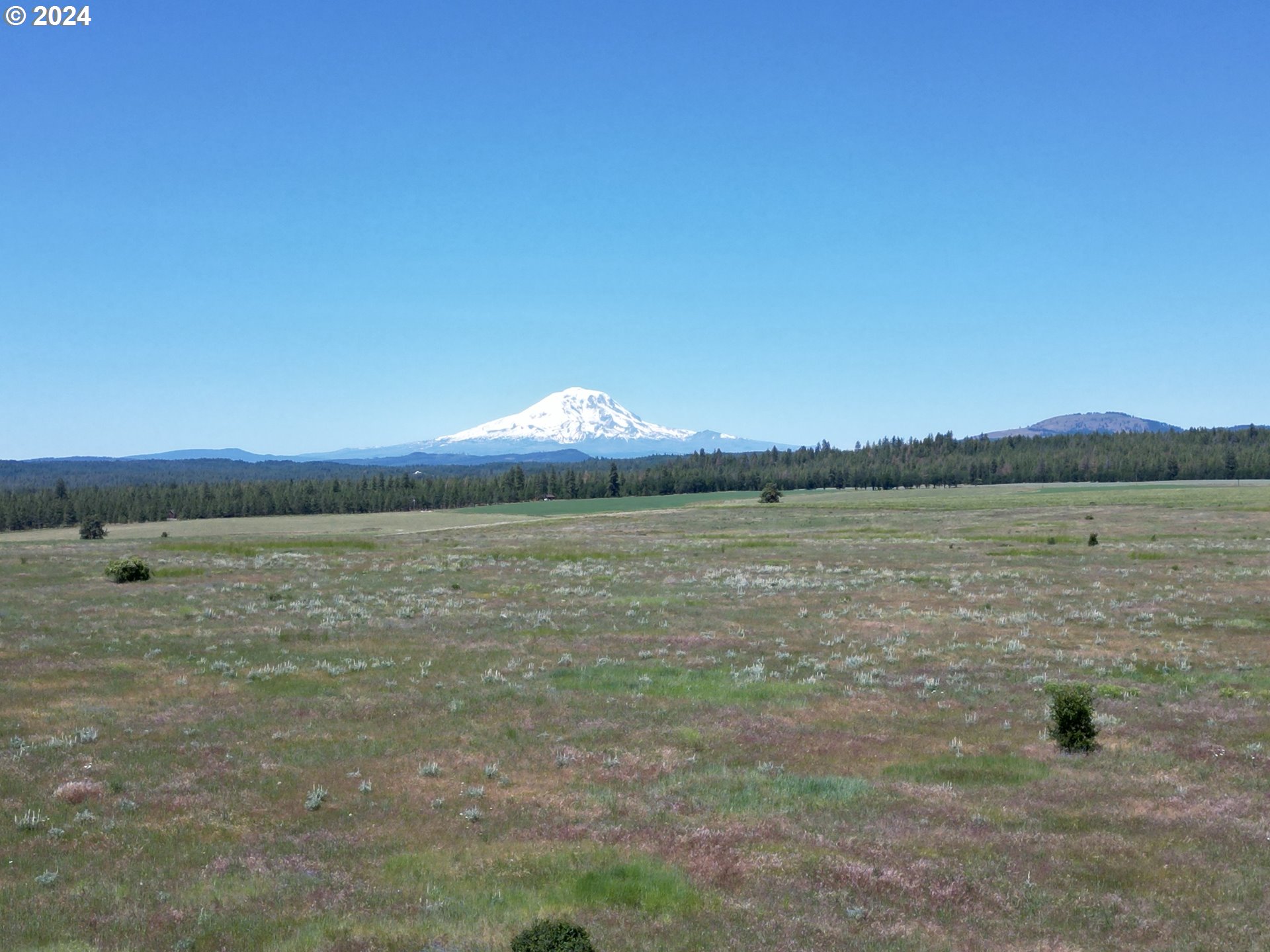 Photo 1 of 41 — 35 BUDDY LN, Goldendale, WA 98620