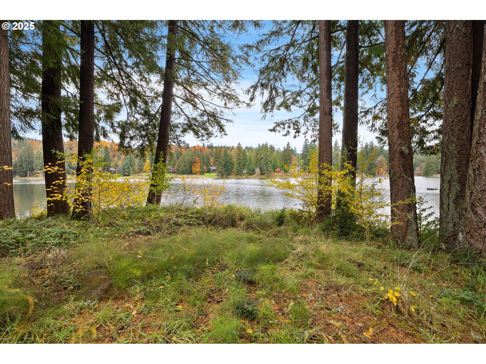 20377 S SHORE VISTA DR