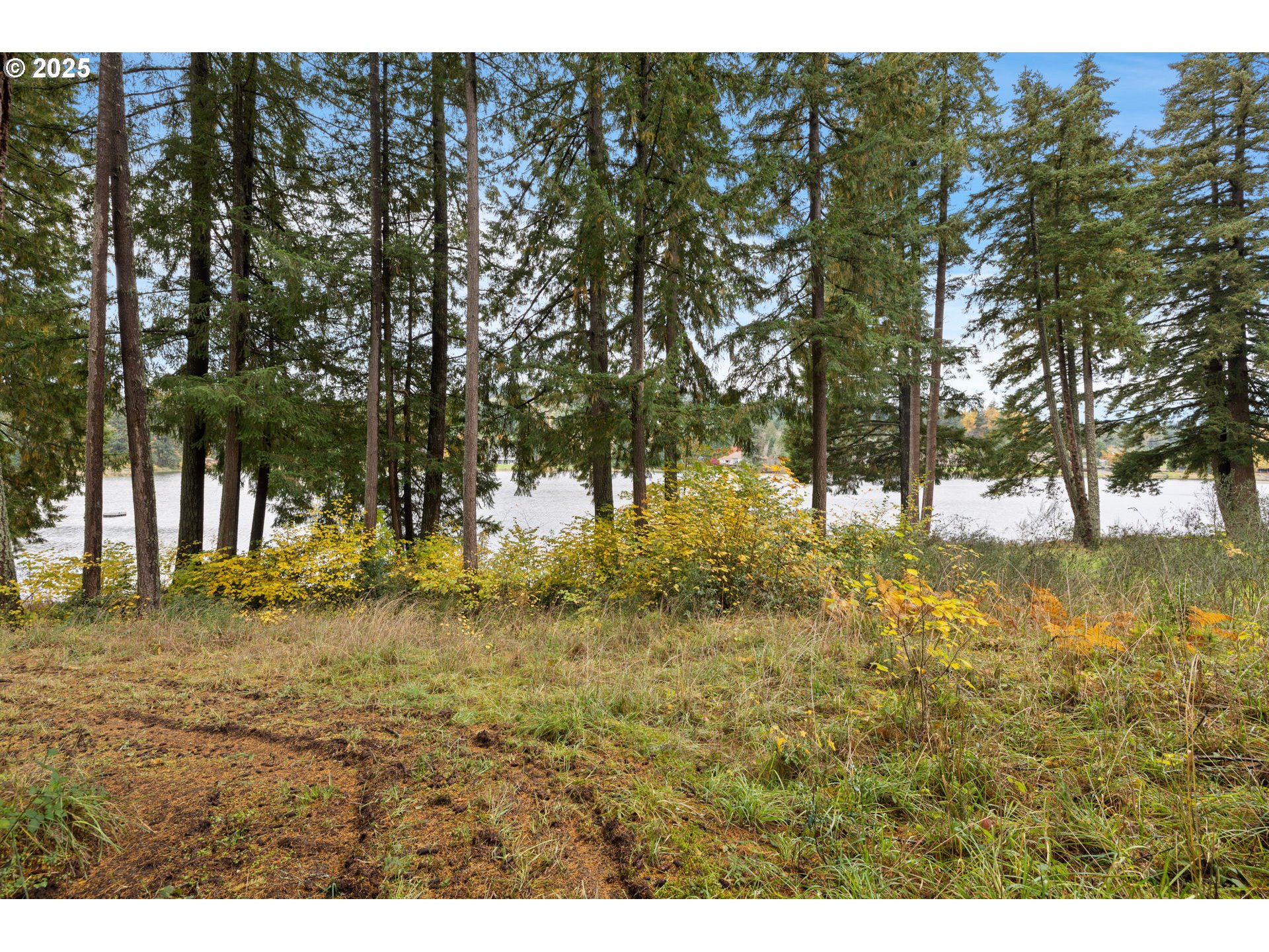 20377 S SHORE VISTA DR