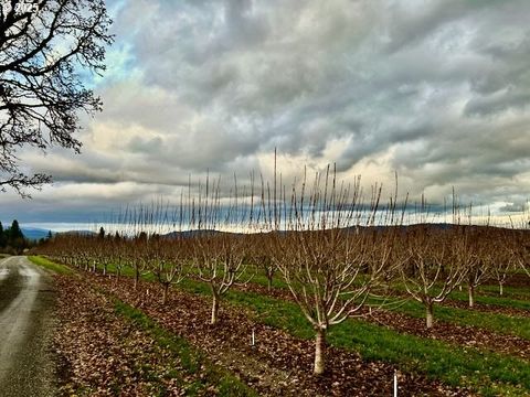 Photo of 4100 Portland Dr, Hood River, OR 97031 (MLS # 200559594)