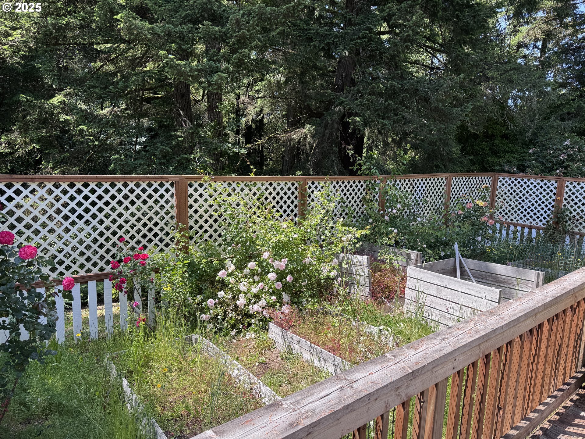 5565 LAKEVIEW DR