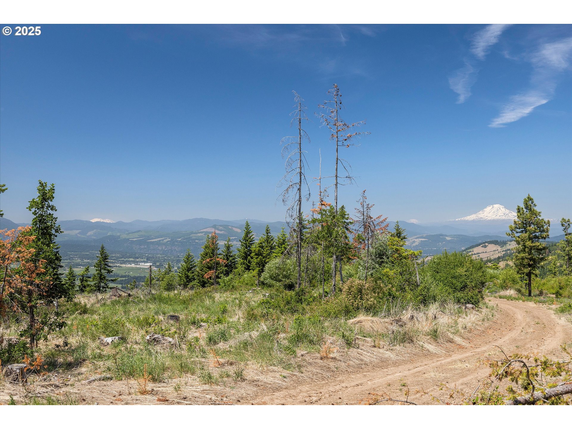 Fir Mountain Rd
