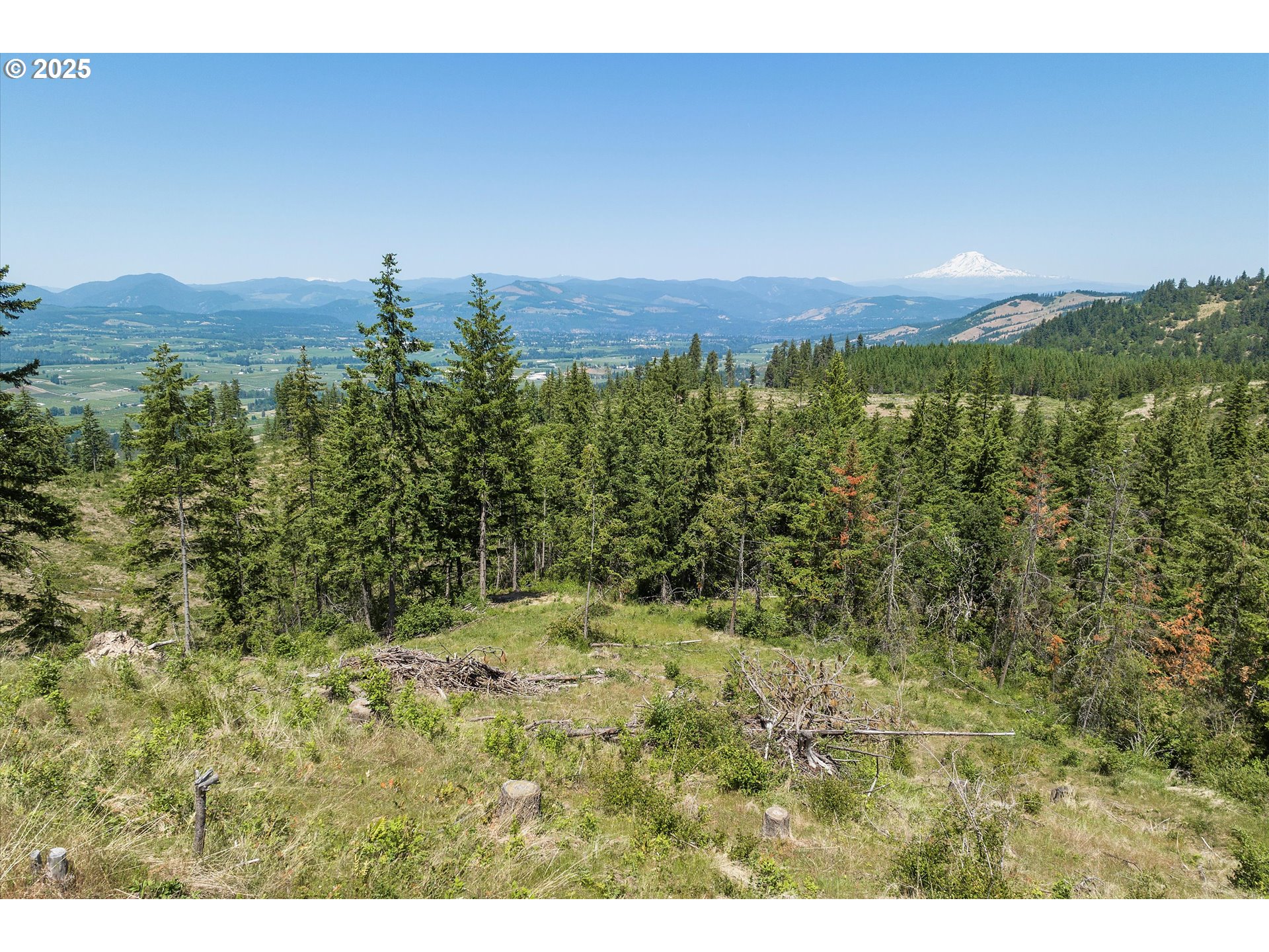Fir Mountain Rd