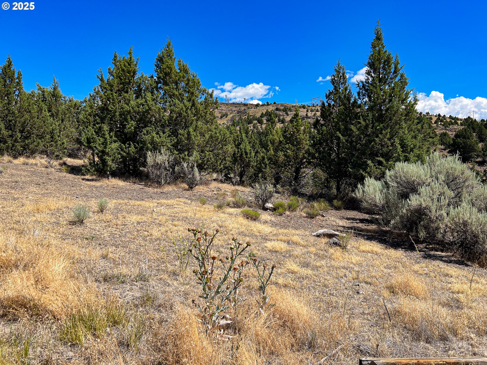 219 VALLEY VIEW DR