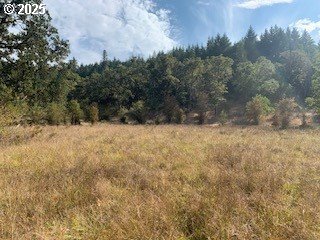 0 NE NEWTON CREEK RD