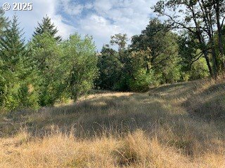 0 NE NEWTON CREEK RD