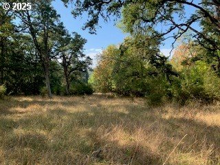 0 NE NEWTON CREEK RD