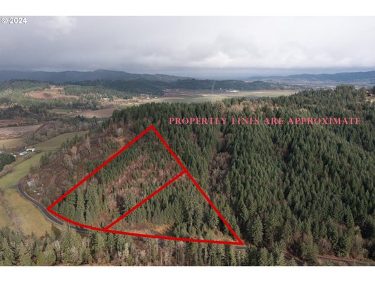 NW WILLIAMS CANYON RD, GASTON, OR 97119 - Image 73e2df86a0b4c105b2ed9baf5bad4c16/708670067