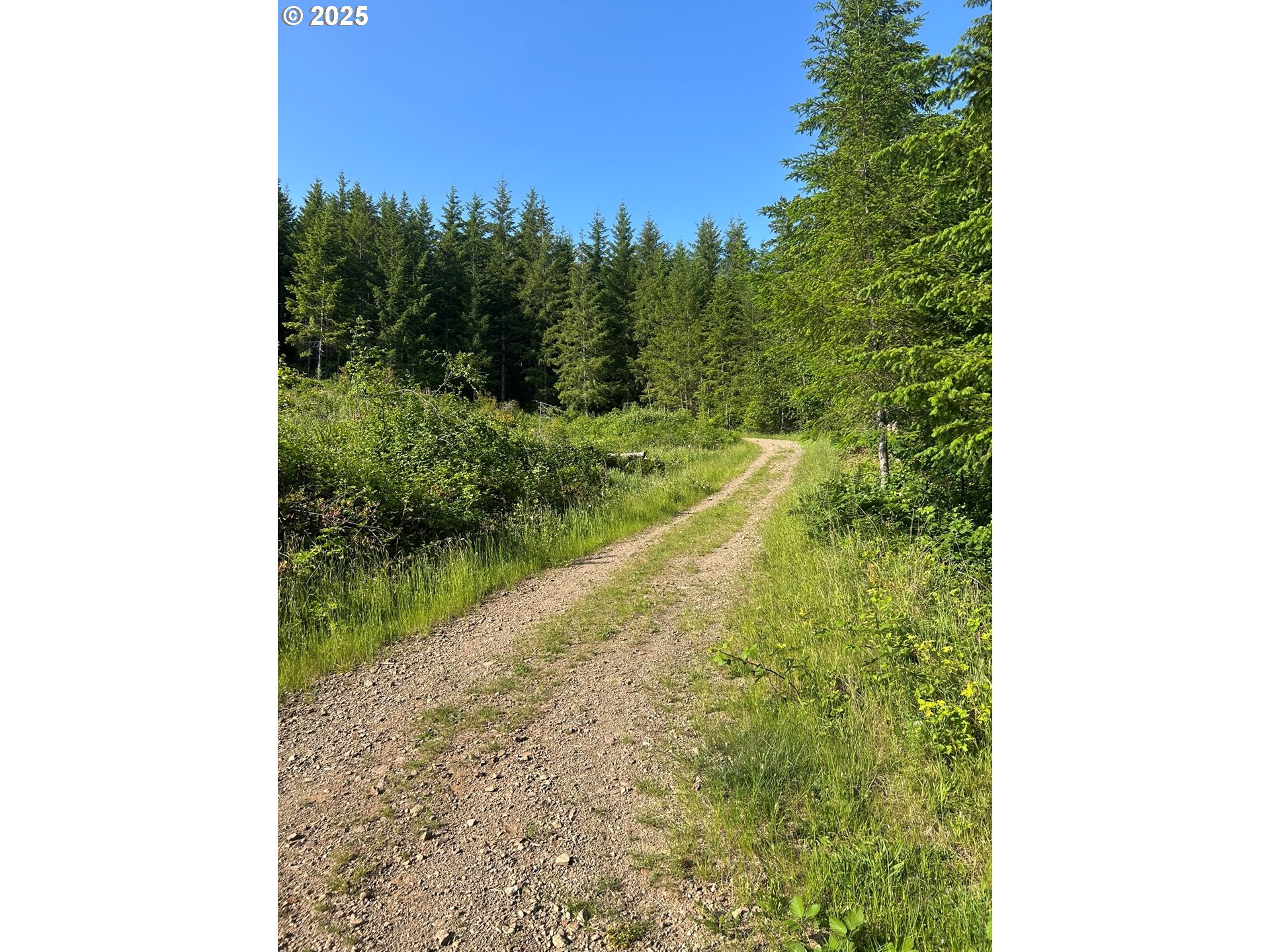 0 NE 206th AVE
