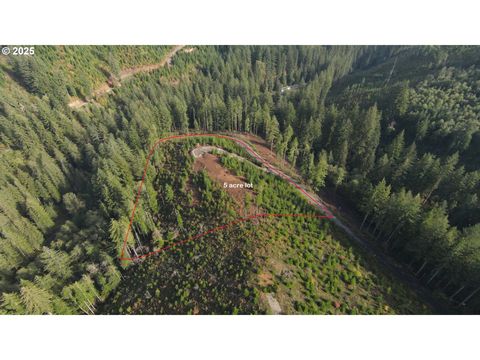 1051 Skamania Mines RD Washougal WA 98671